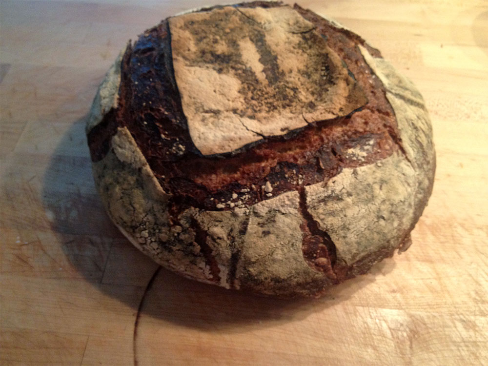 Round loaf of bread